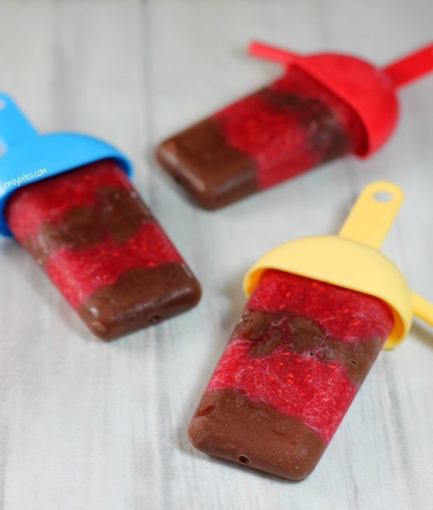 Chocolate Raspberry Pudding Pops