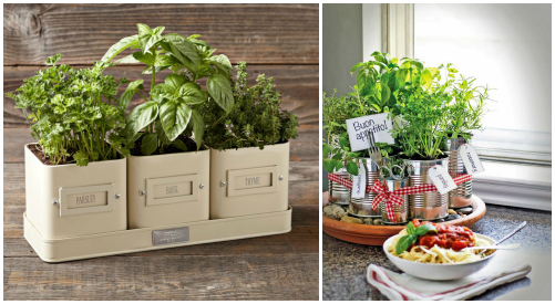 21 Gift Ideas for Healthy Cooks: Herb Garden