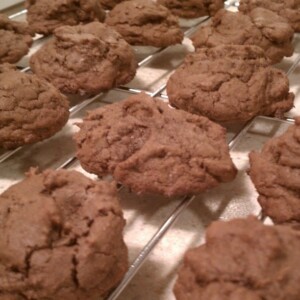 Double Chocolate Chip Cookies