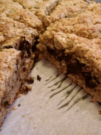 Orange Dark Chocolate Chip Scones