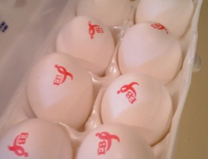 Eggland's Best eggs