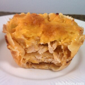 Buffalo Chicken Wonton Cupcakes