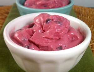 Raspberry Chocolate Chip Frozen Yogurt