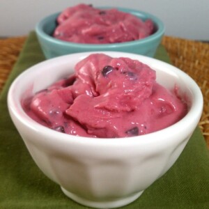 Raspberry Chocolate Chip Frozen Yogurt