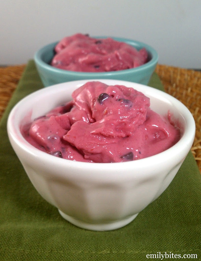 tart frozen yogurt recipe