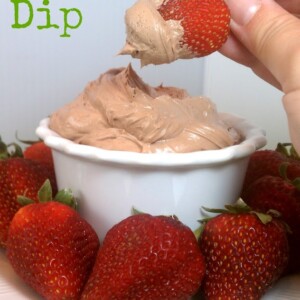 Chocolate Fruit Dip