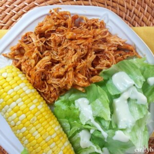 Shredded Mexican Chicken