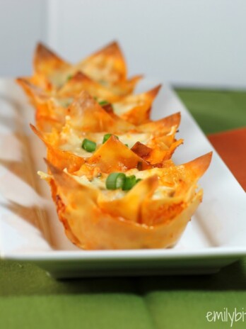 Enchilada Wonton Cupcakes