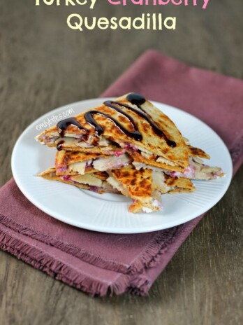Turkey Cranberry Quesadilla