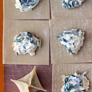 Spinach Artichoke Wonton Bites