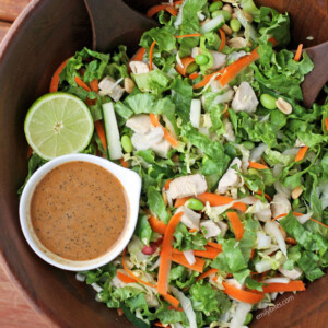 Thai Chicken Chopped Salad with Peanut Dressing