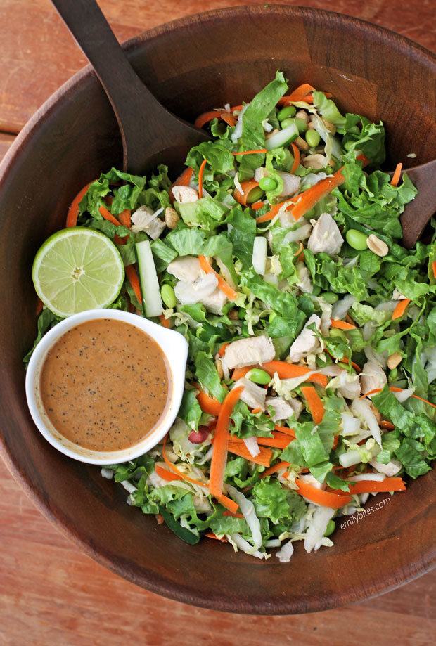 Meal Prep Chopped Thai Salad with Easy Peanut Dressing - Project Meal Plan