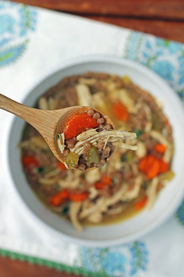 Chicken Noodle Soup on a spoon