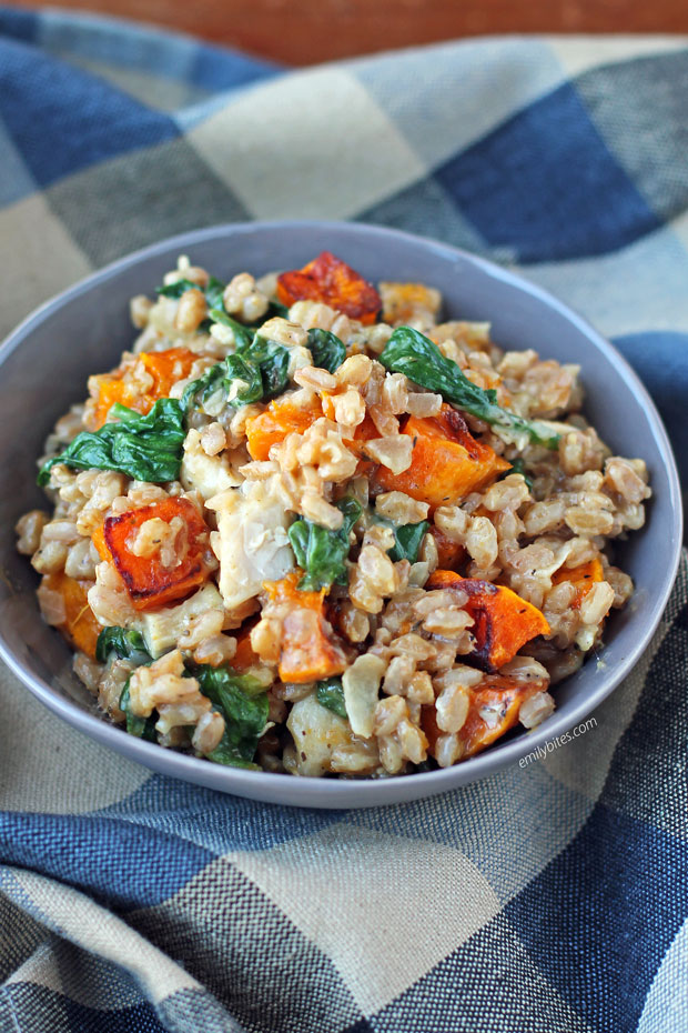 Butternut Squash and Chicken Farrotto in a bowl