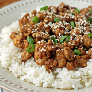 Korean-Inspired Ground Turkey close up