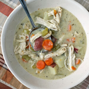 Creamy Chicken Stew in a bowl