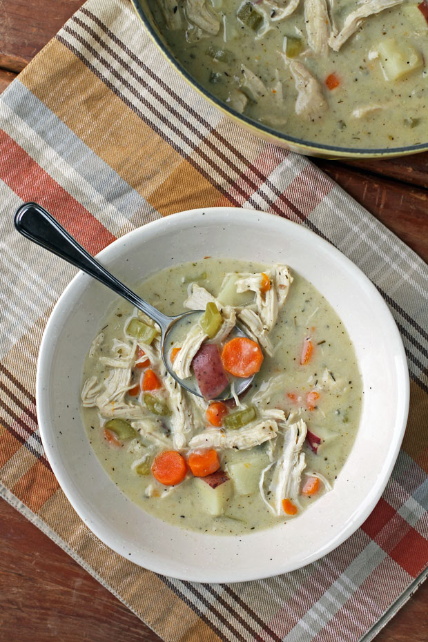 Creamy Chicken Stew in a bowl with the pot