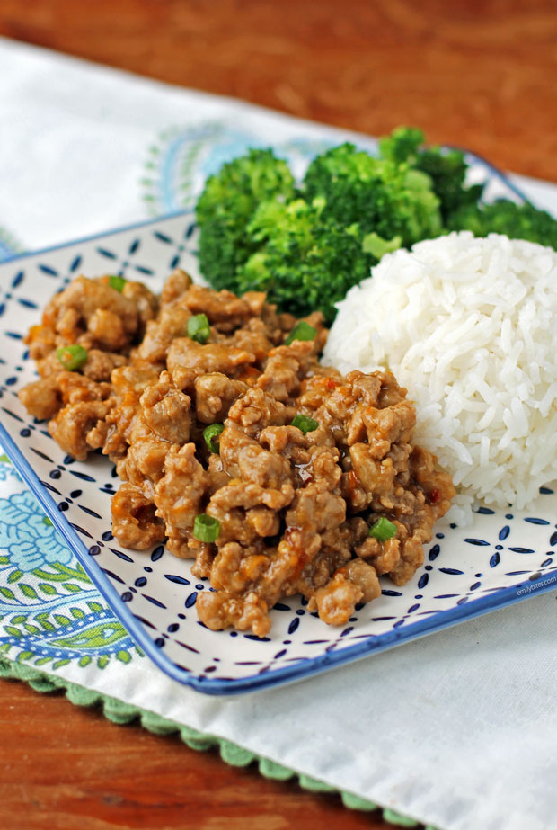 Orange Ground Turkey plated with rice and broccoli