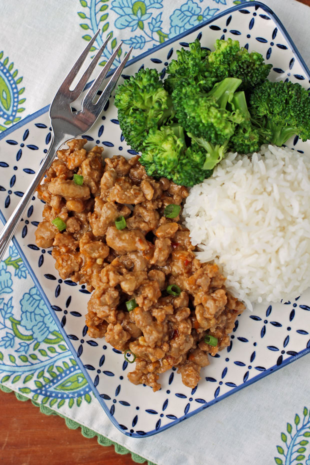 Orange Ground Turkey with sides overhead