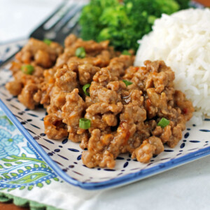 Orange Ground Turkey on a plate close up