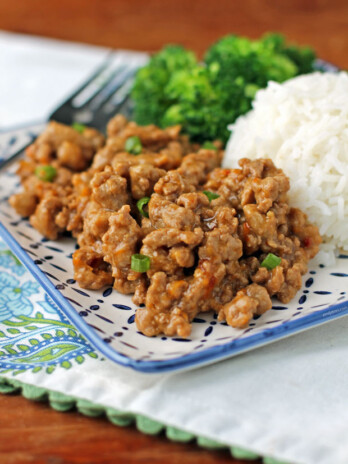 Orange Ground Turkey on a plate close up