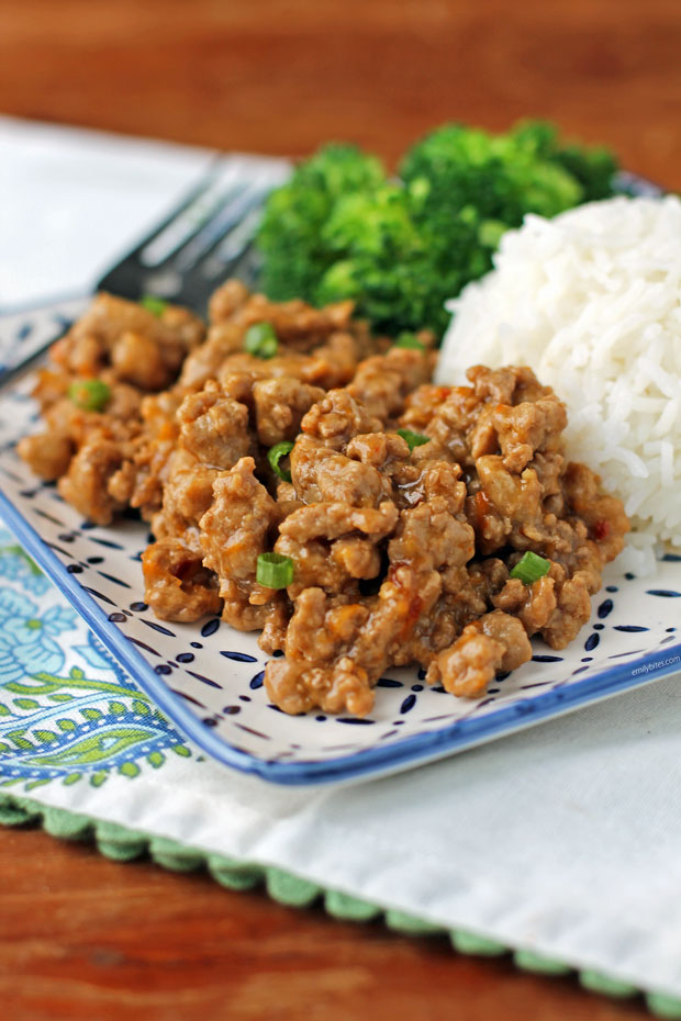 Orange Ground Turkey on a plate close up