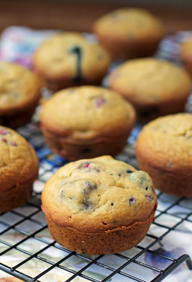 Triple Berry Muffins close up