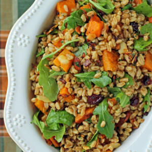 Warm Butternut Squash Farro Salad sideways