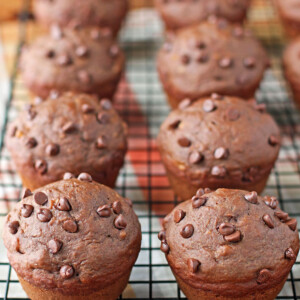 Two rows of Double Chocolate Banana Muffins