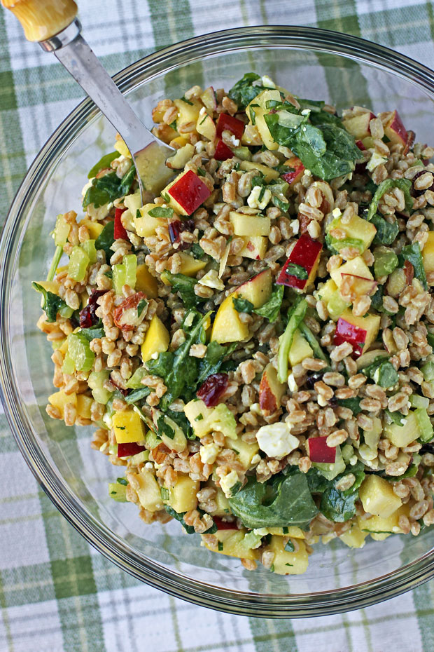 Apple Farro Salad overhead shot