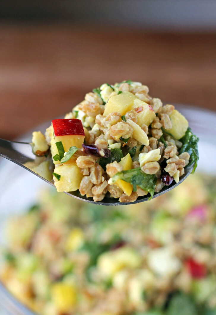 Apple Farro Salad spoonful