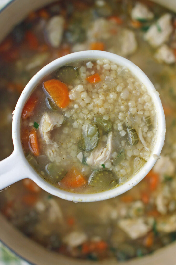 Chicken and Stars Soup scooped on a ladle