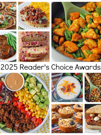 Collage of Emily Bites recipe photos from 2025